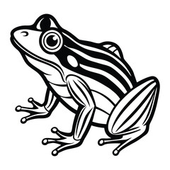 Naklejka premium Striped Frog Illustration Amphibian Nature Art