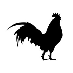 rooster silhouette images illustration