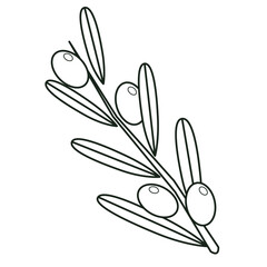 シンプルなオリーブのイラスト