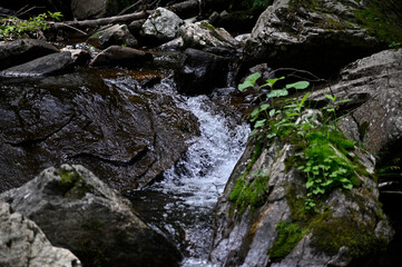 高山市宇津江四十八滝
