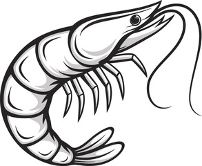 shrimp line art vector illustration