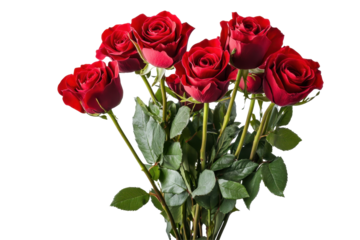 Beautiful bouquet of vibrant red roses elegantly arranged with lush green leaves isolated on a white background suitable for various occasions and celebrations