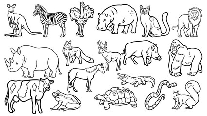 Illustration featuring a variety of animals including mammals reptiles and amphibians in line art style