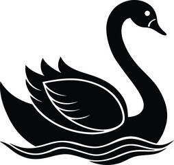 black swan vector illustration