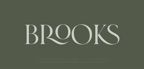 Modern Luxury alphabet letters font. Classic Elegant Modern Serif Lettering Minimal Fashion Logo. Typography decoration fonts for branding, wedding, logos. vector illustration