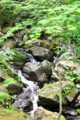 高山市宇津江四十八滝