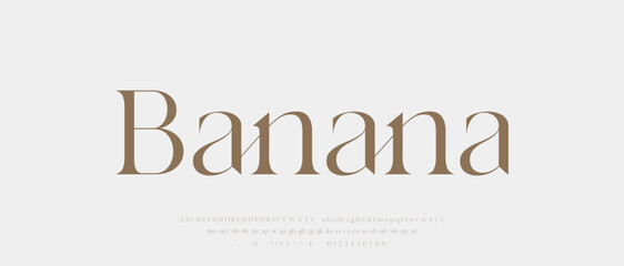 Modern Luxury alphabet letters font. Classic Elegant Modern Serif Lettering Minimal Fashion Logo. Typography decoration fonts for branding, wedding, logos. vector illustration