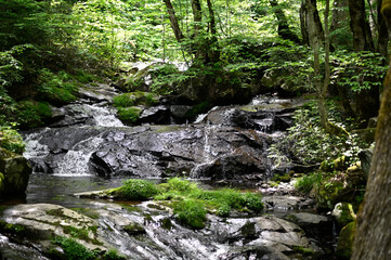高山市宇津江四十八滝