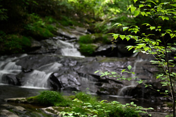 高山市宇津江四十八滝