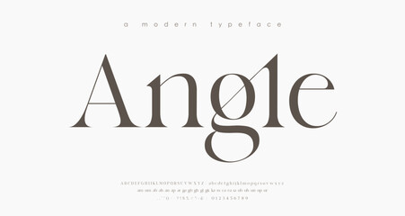 Modern Luxury alphabet letters font. Classic Elegant Modern Serif Lettering Minimal Fashion Logo. Typography decoration fonts for branding, wedding, logos. vector illustration