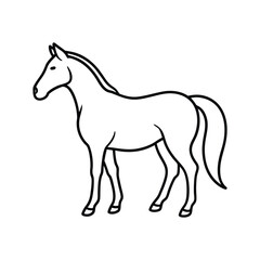 Obraz premium horse line art