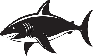 shark vector illustration