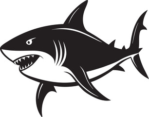 shark vector illustration