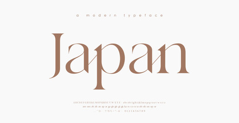 Modern Luxury alphabet letters font. Classic Elegant Modern Serif Lettering Minimal Fashion Logo. Typography decoration fonts for branding, wedding, logos. vector illustration