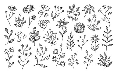 A black and white line art illustration of various botanical elements arranged in a scattered pattern against a white background. The design features 30 individual floral and leaf elements including d