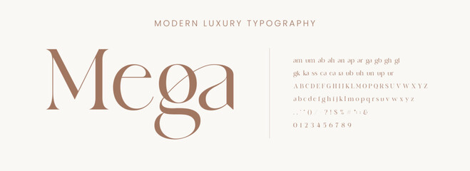 Modern Luxury alphabet letters font. Classic Elegant Modern Serif Lettering Minimal Fashion Logo. Typography decoration fonts for branding, wedding, logos. vector illustration