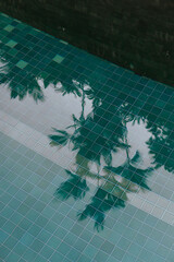 Palm tree reflections in a tranquil tiled swimming pool