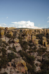 Fototapeta premium Rock formations at Chiricahua National Monument vertical