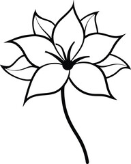 black and white lily flower