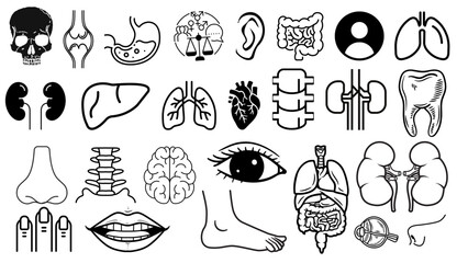 Collection of black and white anatomical drawings featuring various human organs and body parts artfully arranged
