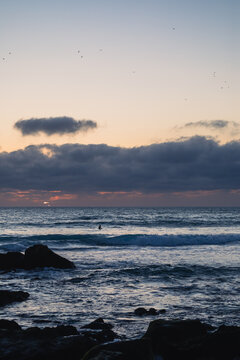 Surfer waiting for waves at sunset in sagres, portugal, algarve coast