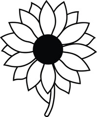 vector illustration of a Sunflower