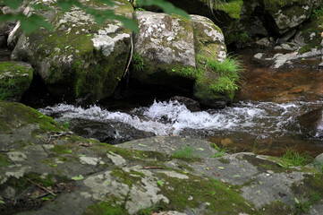 高山市宇津江四十八滝