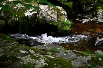 高山市宇津江四十八滝