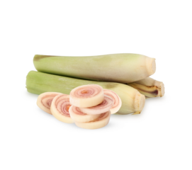 lemongrass sliced isolated on transparent background (.PNG)