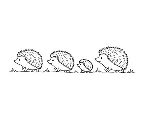 A family of hedgehogs walking in a line