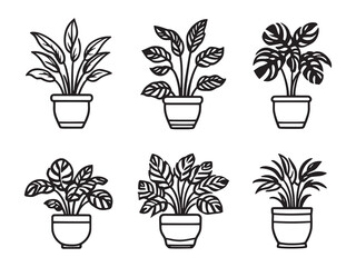 Botanical line art of tropical indoor plant in pot handle