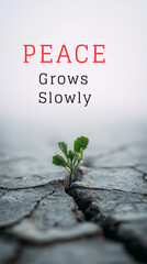 Peaceful Growth Slow and Steady. Peace