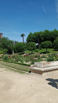 Video vertical del florido jard&iacute;n de la rosaleda durante la primavera en la ciudad de Valladolid, Espa&ntilde;a. Sin audio