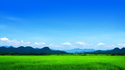 Breathtaking landscape view of lush green fields and majestic mountains under a clear blue sky for nature enthusiasts