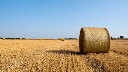 Harvesting season golden hay bales in a serene field rural landscape clear sky agricultural beauty