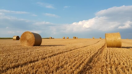 Harvesting season action open fields photography rural landscape wide angle agricultural beauty