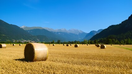 Baling hay in a picturesque valley switzerland nature photography sunny day wide angle view agricultural serenity