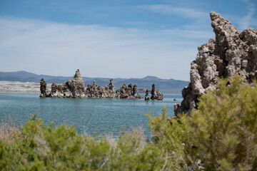 Tufa sculptures emerging from Mono Lake near lush green brush on the shoreline, June 20, 2020