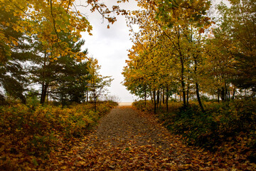 Colourful autumn morning on the shore of the Baltic Sea	