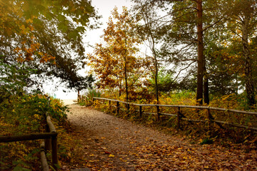 Colourful autumn morning on the shore of the Baltic Sea	