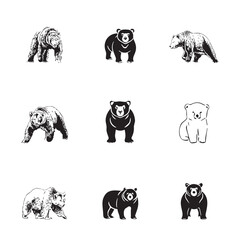 Group bear vector image