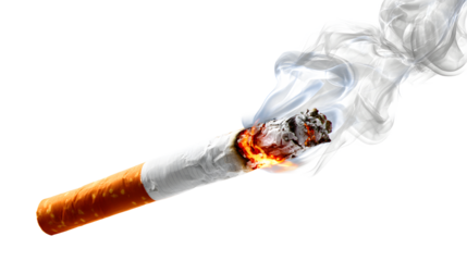 Burning Cigarette with Smoke 