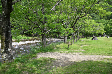 パスカル清見の公園から見た間瀬川