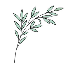 Obraz premium Tanabata bamboo grass