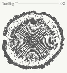 An Artistic and Detailed Illustration of a Tree Ring Featuring Intricate Patterns