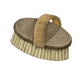 Hand drawn brush for horse grooming