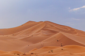Sunset panoramic landscape views of Erg Chebbi sand dunes located in Morocco on the western edge of the Sahara Desert