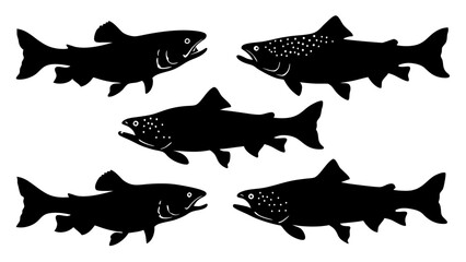 Set of modern illustration of fish