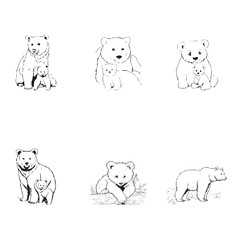 Group bear vector image