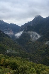 Fototapeta premium Misty view of Añisclo Canyon with lush vegetation